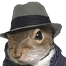 GitHub Avatar for zerozoo-a